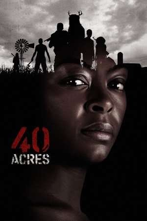 40 Acres (2025) - Poster